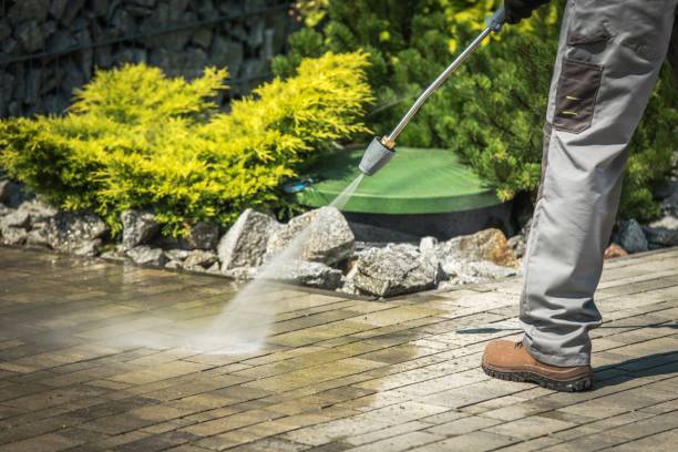 Best Dumpster Area Cleaning  in North River Shores, FL