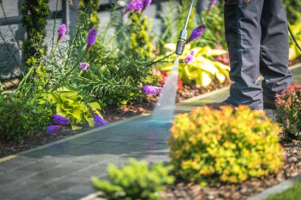 Trusted North River Shores, FL Pressure Washing Services Experts